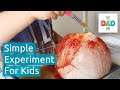 Melting Ice With Salt Simple Science For Kids