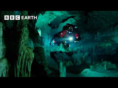 Cave Divers Explore Cenotes of the Yucatán | Wild Mexico | BBC Earth