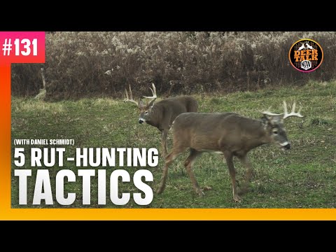 131: 5 RUT-HUNTING TACTICS with Daniel Schmidt - YouTube