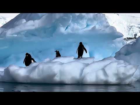 Abenteuer Antarktis 2023