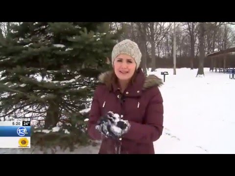 The Science Behind Snow: Light & Fluffy vs. Heavy & Wet January 22, 2016