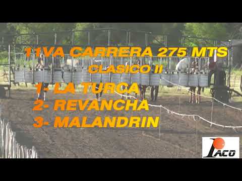LA TURCA  HIPODROMO LA CAÑADA LA HIGUERA 19 02 2023