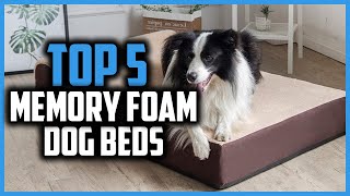 ✅ Top 5 Best Memory Foam Dog Beds of 2022