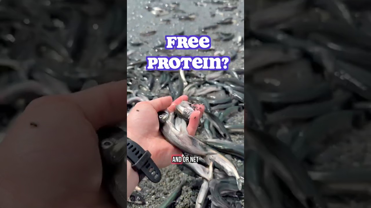 FREE PROTEIN? Almost as good as FREE meal plans. Install Prospre to get yours!