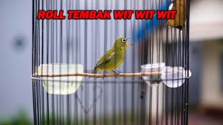 Download lagu PANCINGAN PLECI ROLL TEMBAK WIT WIT WIT , MASTERAN PLECI NEMBAK PALING DICARI mp3