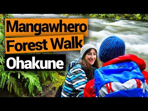 🗺️ Mangawhero Forest Walk in Ohakune - New Zealand's Biggest Gap Year – Backpacker Guide New Zealand Video