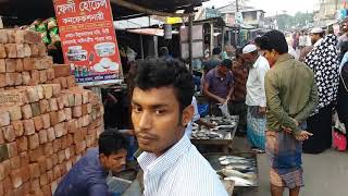 \\"মা ইলিশ সংরক্ষণ অভিযান-২০১৮\\" উপলক্ষে মাছ বাজার অভিযান পরিচালনা, চাটখিল, নোয়াখালী।