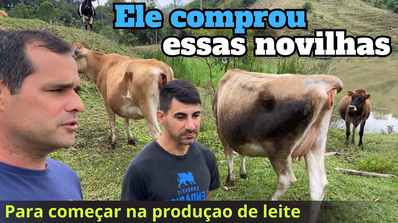 Planejando o começo na produção de leite.