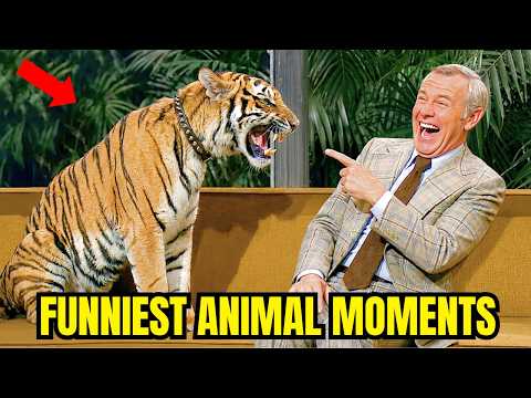 Johnny Carson's FUNNIEST ANIMAL Guests Who Didn't Fear Him.