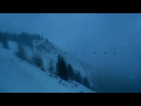 insensible - ominous (slowed + reverb)