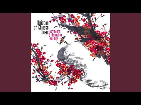 Ruan – Chinese Instrument