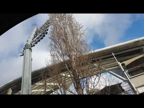 Oval Cricket Stadium 🏟 London