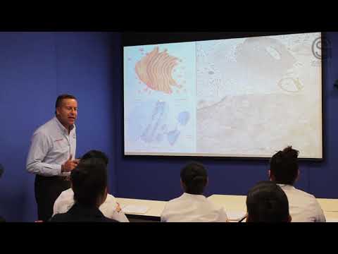 Tipos Celulares y Tejidos Básicos