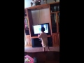 Spin Around