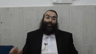 הרב נחמנסון | הלכות שבת | האם מותר להשתעשע עם חיות מחמד בשבת