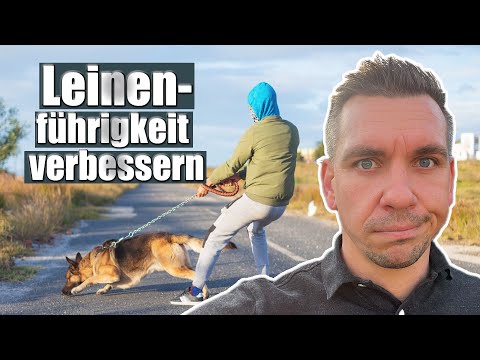 Walking the dog: These 4 mistakes stress you and your dog