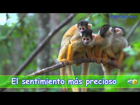 La Alegría Está En El Corazón video