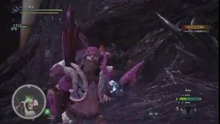 【MHW】狩り初心者が達人になるべく実況？してみた☆26(龍結晶の地編)