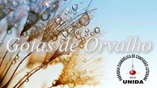 Gotas de Orvalho - 31 de Dezembro de 2024