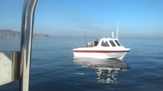 preview picture of video 'Sea fishing saltburn warrior 165 saltburn with friends'