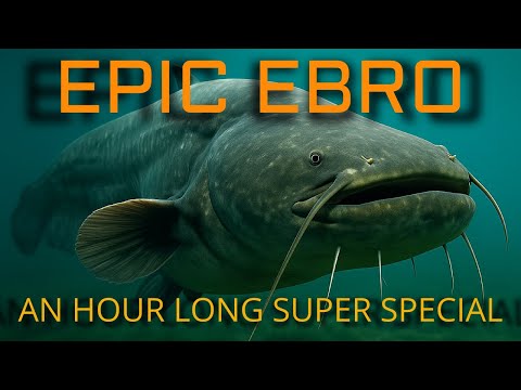 SUMMER TIME MADNESS!  Epic Monster Catfishing battles on the River Ebro with Nick Shattock