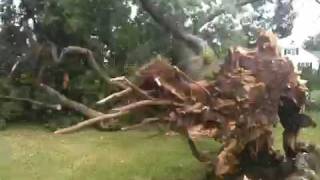 preview picture of video 'Storm damage Memorial Park Thurmont, Maryland]'