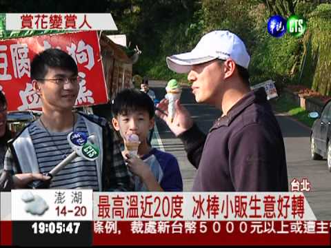 久違的陽光! 陽明山湧現賞花潮