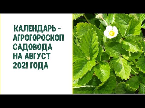 , title : 'Календарь - агрогороскоп садовода на август 2021 года'