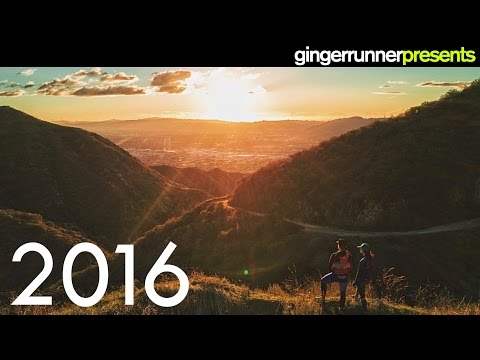 A LOOK BACK AT 2016 | Thank you for another wonderful year!
