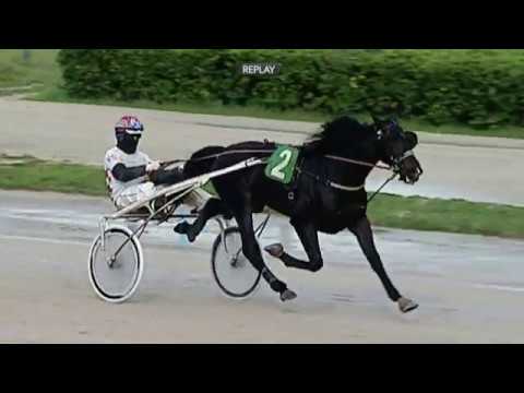 Aversa trotto 7 Marzo 2020 - 1° Corsa