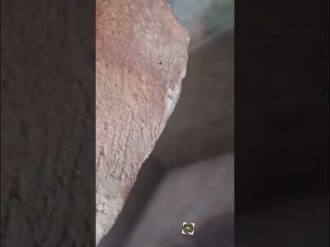 explorando a l4nda do Marzagão #deusemaior