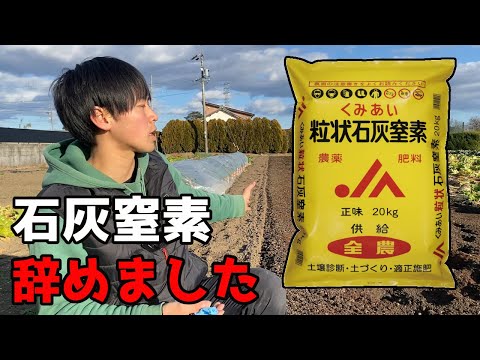 庭で生石灰をいつ使用するのですか?すべての用途の説明: 菜園、芝生、果樹  庭園