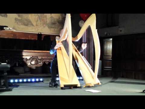 Concerto "NOTE DAL CUORE" -  Vincenzo Zitello in "Gaelic Raga"