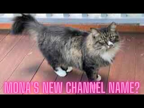 Mona's new channel name?