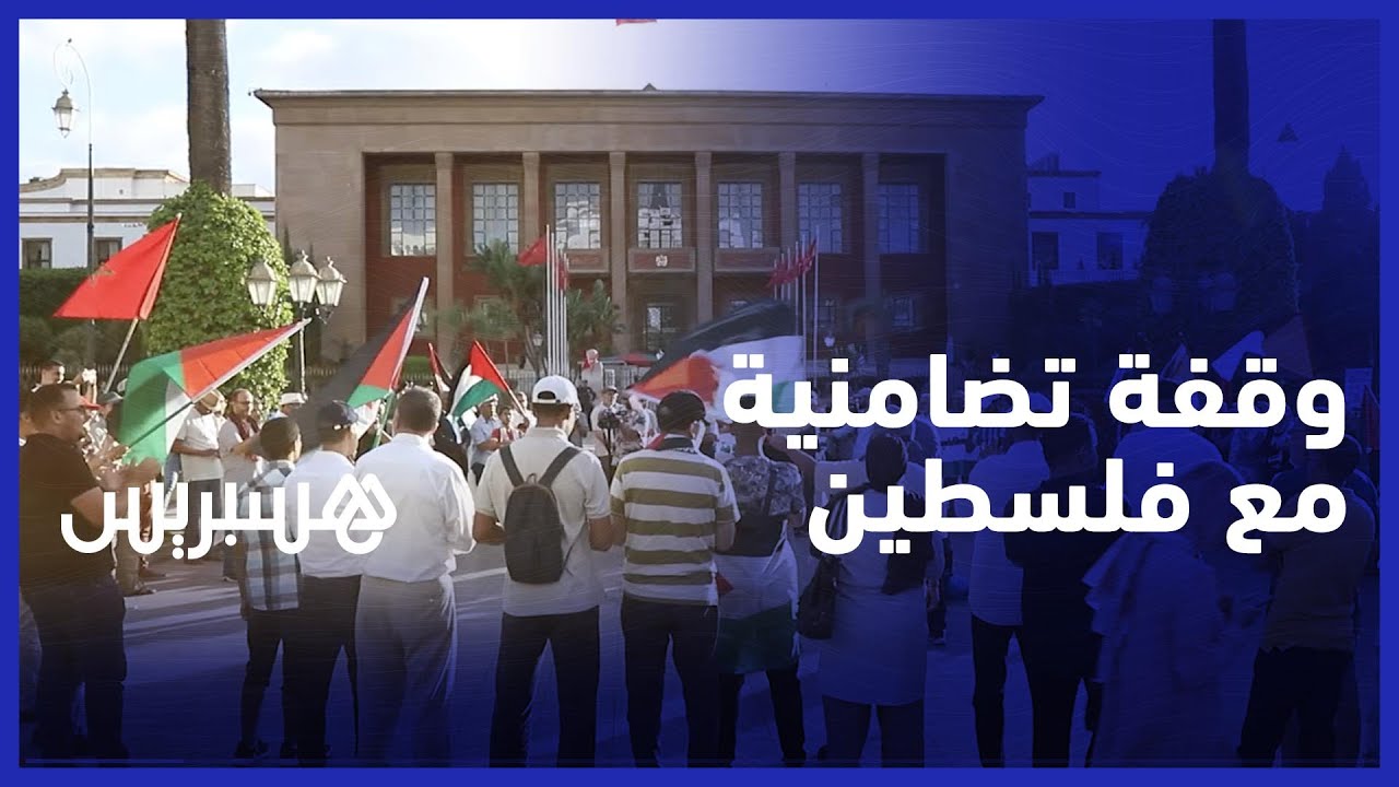 تنديدا بالعدوان على جنين .. وقفة تضامنية مع فلسطين أمام البرلمان تطالب بإسقاط التطبيع thumbnail