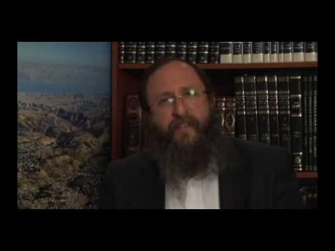 Weekly Torah Portion: Shmini