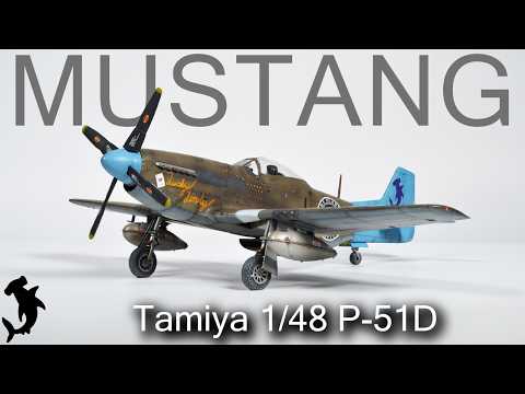 Tamiya 1/48 P-51D "Lucky Lindy" | Full Build Video