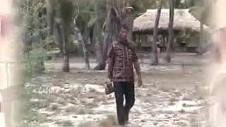 Download lagu Gambus Laga Doni...koda te perohon onek.... kirin te pesayang yonem 2020 mp3