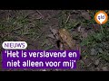 Diny's hart klopt harder voor de pad: 'Avondklok is een vloek en een zegen'