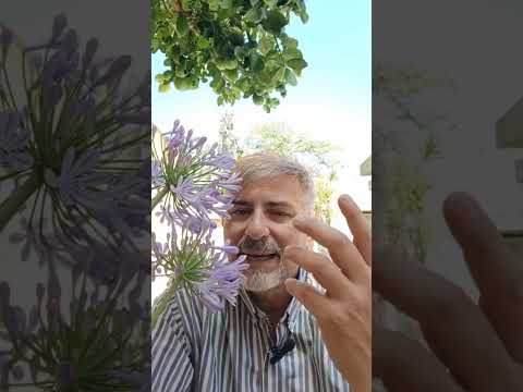 Meditación del día Fabian Esteban Oliva #reddeevangelizacion