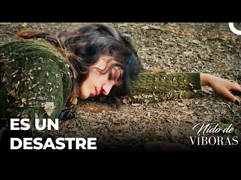 Sebnem Al Borde Del Acantilado - Nido De Víboras