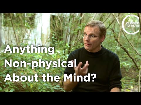 Giulio Tononi - Is There Anything Non-physical About the Mind?