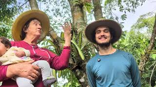 APOLO APRESENTA UMA FLOR EXÓTICA 