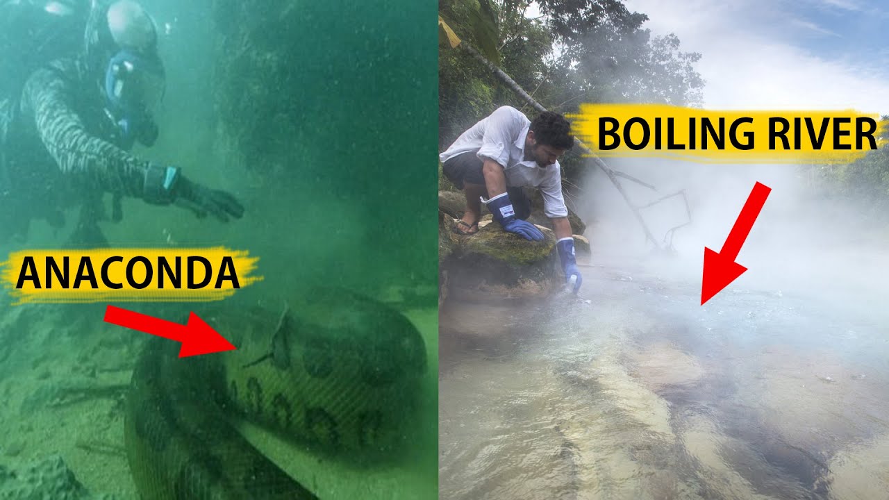 Strange Secrets In the Amazon RainForest