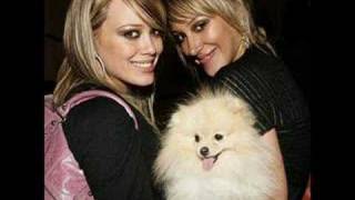 The Siamese Cat-hilary and haylie duff