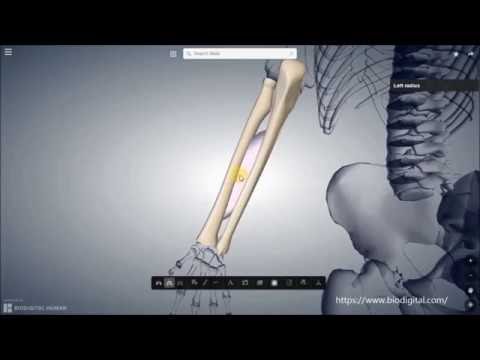 Cum să tratezi articulația 1 genunchi