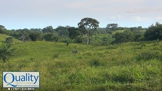 preview picture of video 'Venta de Terrenos en Pedasí y Las Tablas | Inmobiliarias, Bienes Raíces en Panamá'