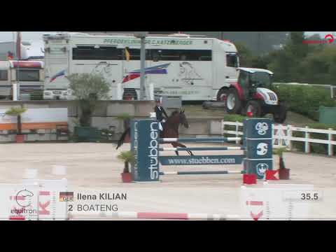 Boateng 8 y. Balous Bellini x Dinars L