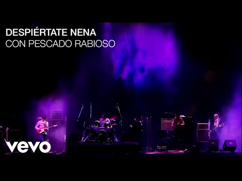 Luis Alberto Spinetta - Despiértate Nena (En Vivo Estadio Vélez Sarsfield)
