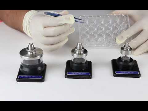 What's the Difference between Hanging and Standing Cell Culture Inserts used in EndOhm Chambers